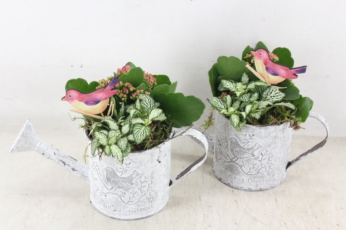 <h4>arr2 TD - Zink gieter - roze</h4>