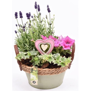 Zink schaal groen met touw 21cm