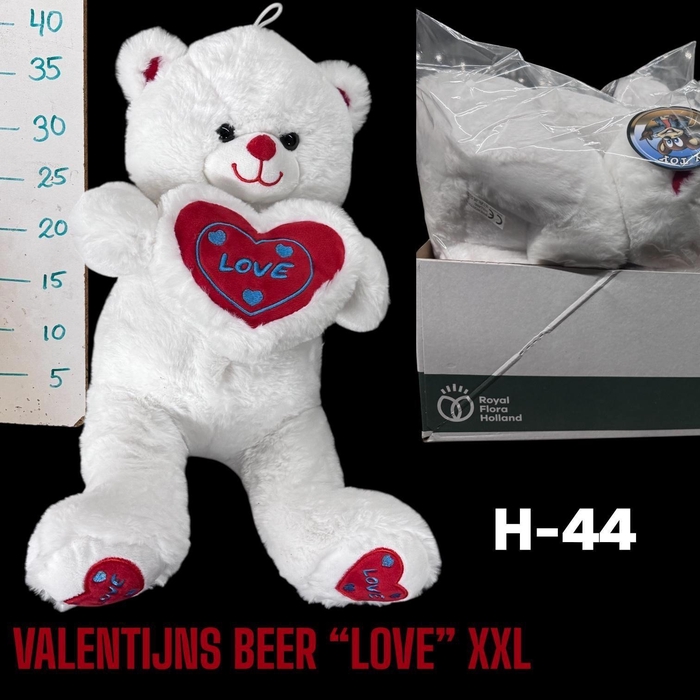 <h4>HUIS EN TUINDECO H%</h4>