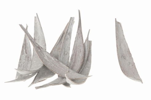 COCO MEDIUM SMALL 15-20CM 6PCS WHITE WASH