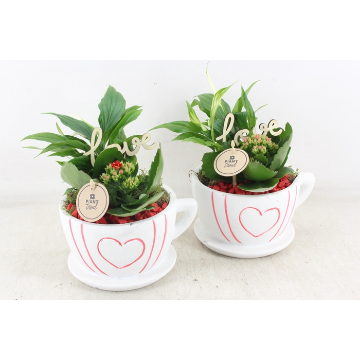 <h4>Arr2 Pl - Ker. Kop&schotel Met Hart - Rood</h4>