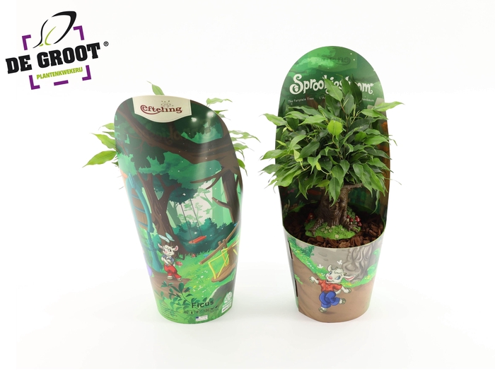 <h4>Sprookjesboom Benjamin OV</h4>