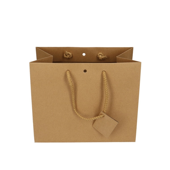 <h4>Tassen Gift bag 24*14*19.5cm</h4>