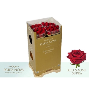 Rosa large red naomi! Supra Porta Nova