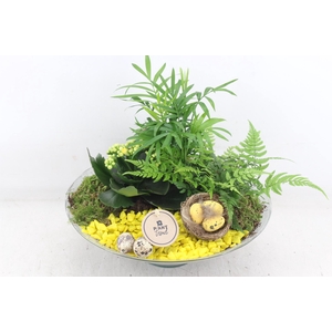 arr2 PL - Glas schaal 30cm - geel