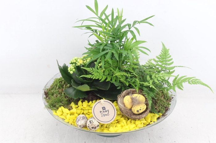 <h4>arr2 PL - Glas schaal 30cm - geel</h4>