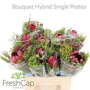 Bouquet Hybrid Single Protea