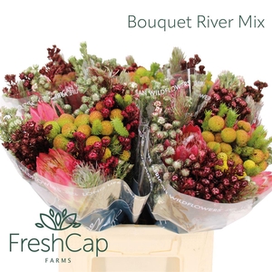 Bouquet River Mix