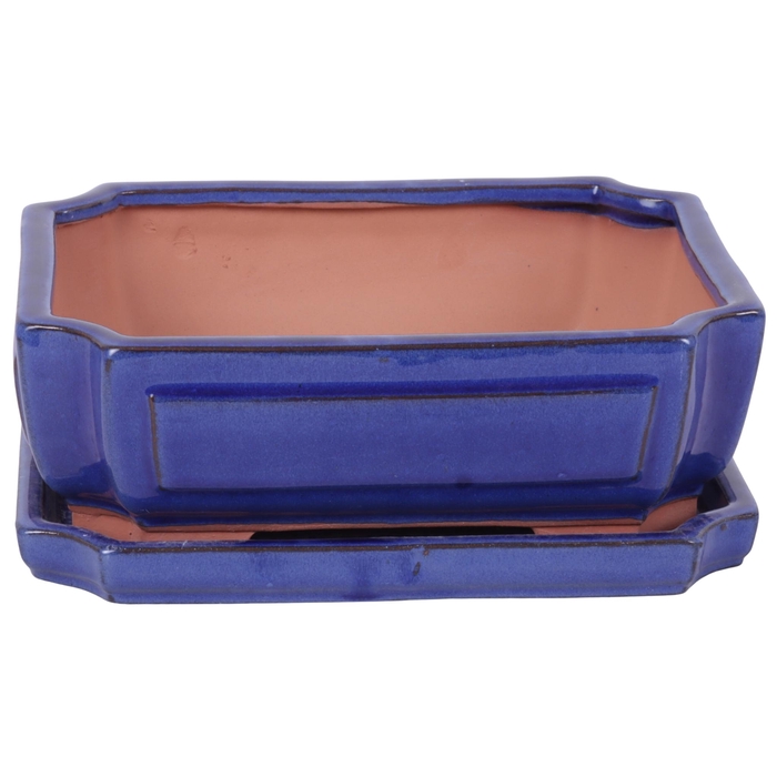 <h4>Bonsai accesoires Potset with saucer Ø25cm Blue</h4>