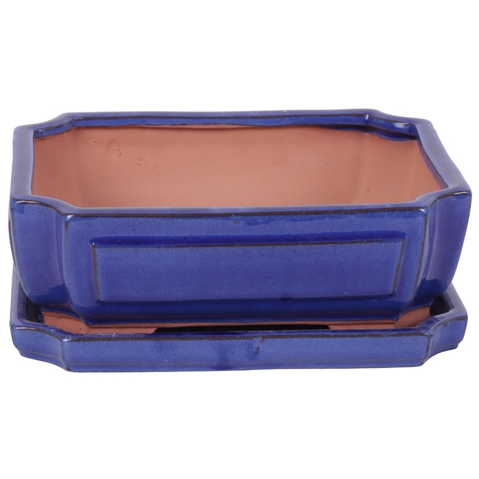 <h4>Bonsai accesoires Potset with saucer Ø25cm Blue</h4>