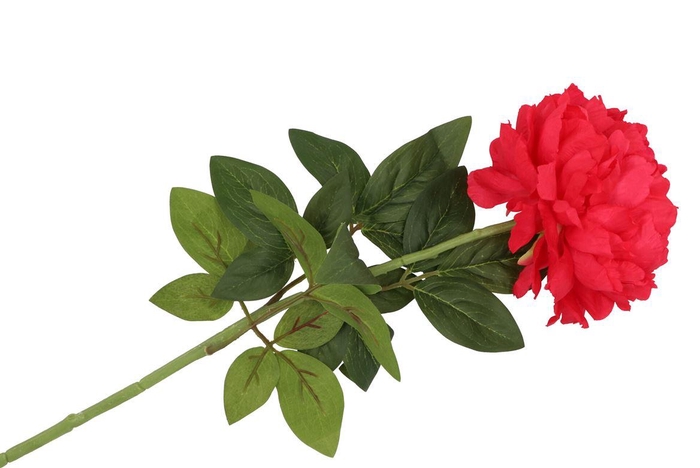 <h4>Silk Peony Tak Red 71cm Nm</h4>
