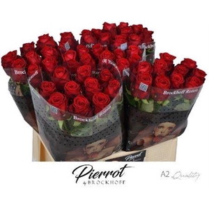 R GR RED NAOMI! BROCKHOFF PIERROT