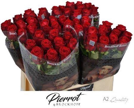 <h4>R GR RED NAOMI! BROCKHOFF PIERROT</h4>