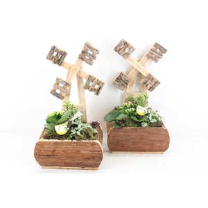 arr2 TD - Hout molen 338/3 - roze/wit