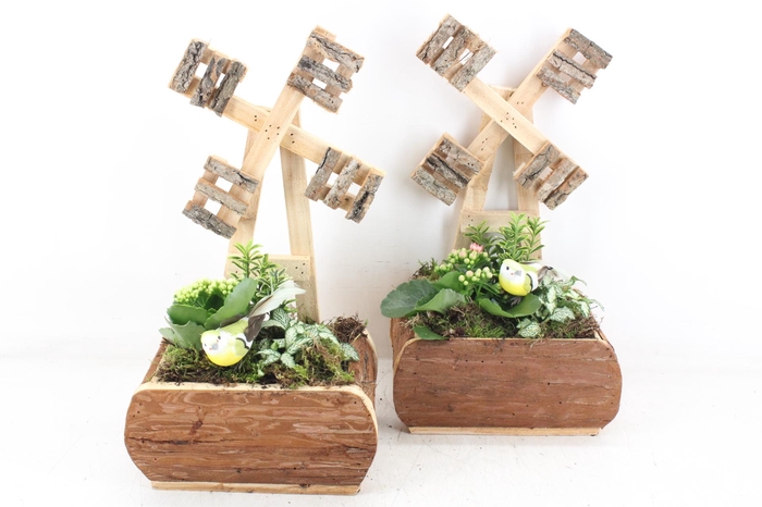 <h4>arr2 TD - Hout molen 338/3 - roze/wit</h4>