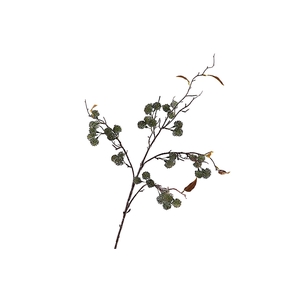 Sedum Spray Green