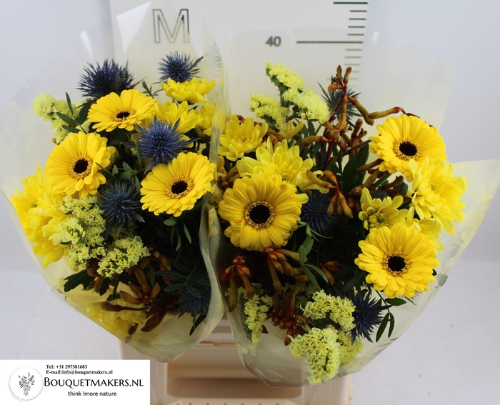 <h4>GEM BOEKET OV</h4>