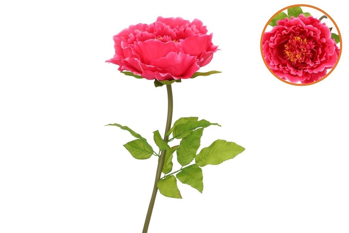 <h4>Silk Amazing Peony Beauty Fuchsia Xxxl 58x140cm</h4>