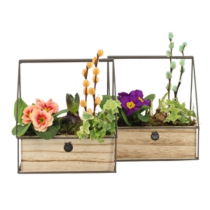 11677: Outdoor spring arrangement