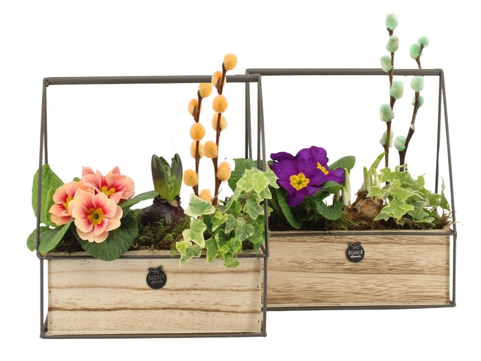 <h4>11677: Outdoor spring arrangement</h4>