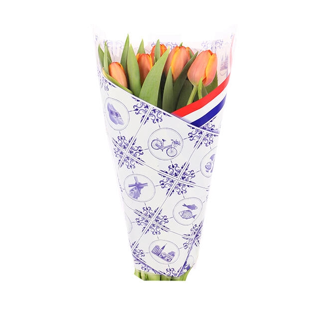 <h4>Sleeves 40x30x12cm OPP30 Flowers of Holland</h4>