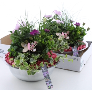 ARR TUINPLANTEN