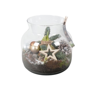 PTACH8316 Arrangement Amaryllis Kerst in glas vaas