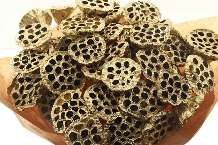 <h4>Lotus On Stick Gold</h4>