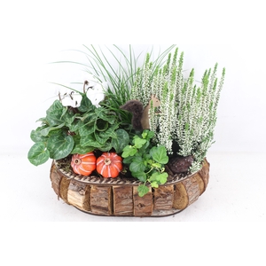 arr4 Outdoor VL - Hout blokjes bruin wit cycl.