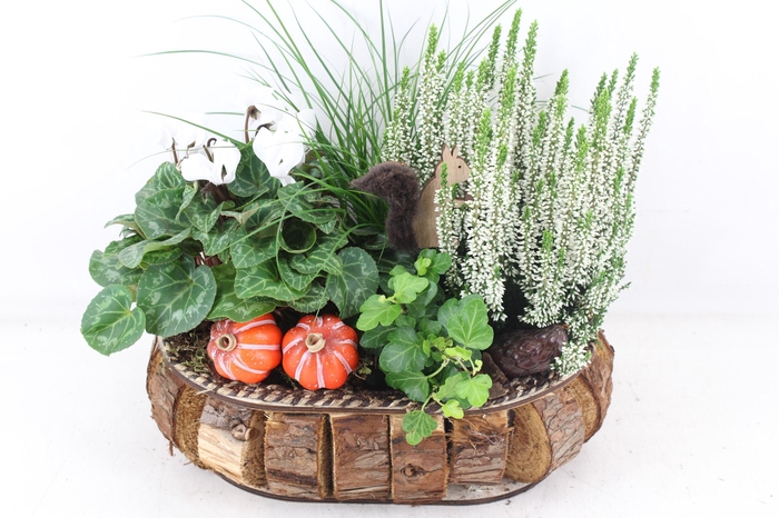 <h4>arr4 Outdoor VL - Hout blokjes bruin wit cycl.</h4>