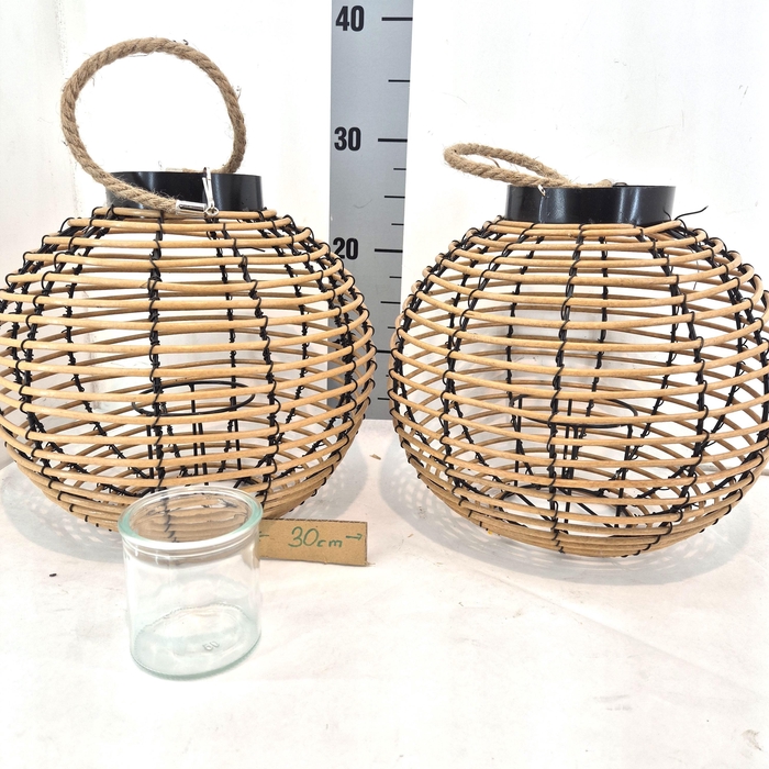 <h4>HUIS EN TUINDECO H%</h4>