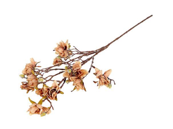 Branch Magnolia Grandi L88