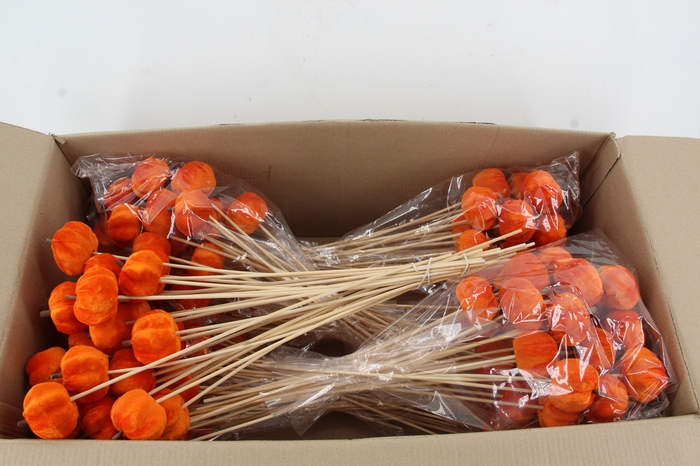 <h4>Stick Pumpkin 5/6cm Orange</h4>