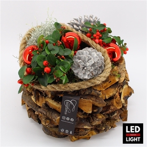 GACR-2409LED Gaultheria creatie