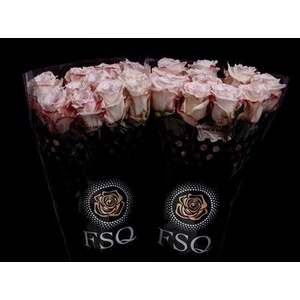 R Gr Exotix Scent
