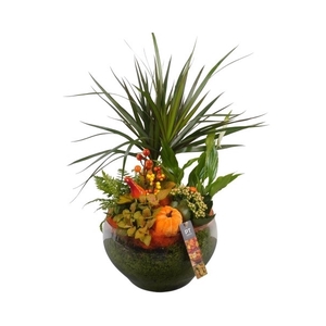 PTHG3407 Arrangement Autumn Glass in glas schaal