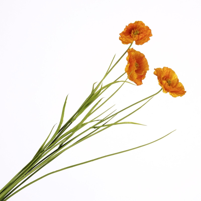 <h4>Papaver Spray Orange FL440340ORA</h4>