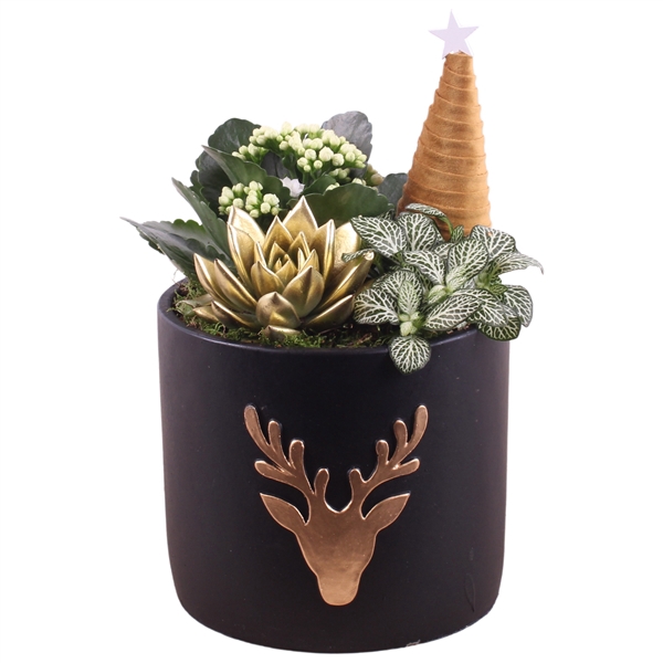 <h4>Christmas Arr.Indoor Ceramic Pot round reindeer black ø17cm 3PP</h4>