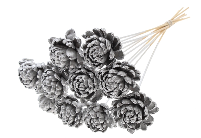 Shola New Beauty Rose Ø8cm on stem Silver
