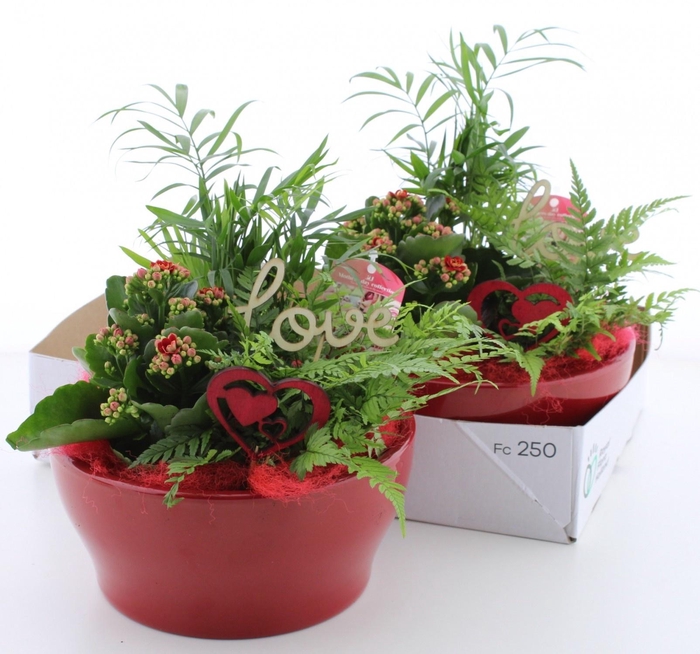 <h4>ARR KAMERPL</h4>