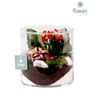 Glazen cilindervaas met voorjaars