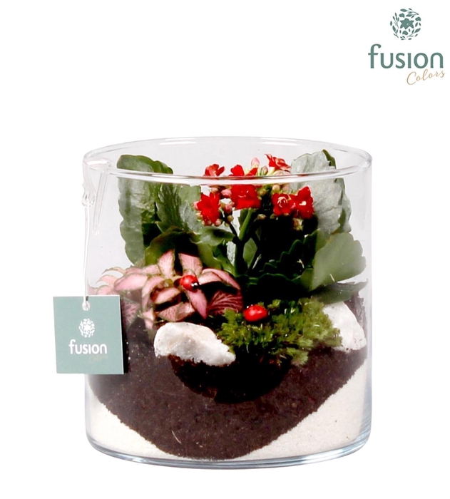 <h4>Glazen cilindervaas met voorjaars</h4>