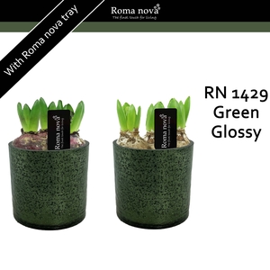 Hya Rom 1429 Green Glossy