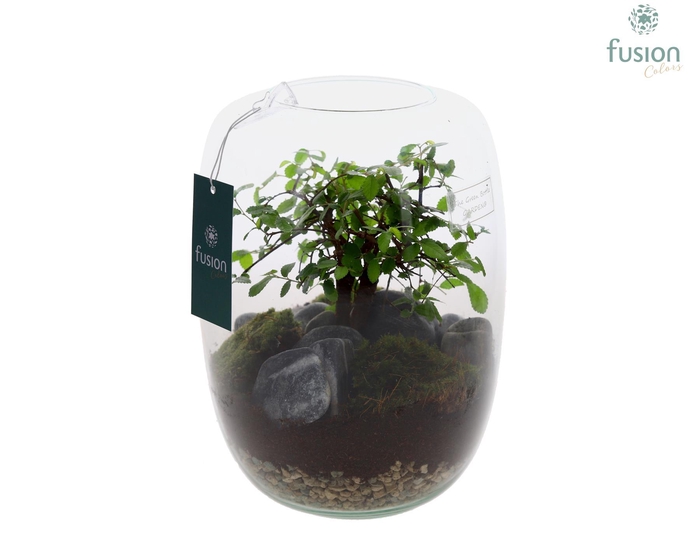 <h4>Green Bottle Isabella Large met Bonsai</h4>