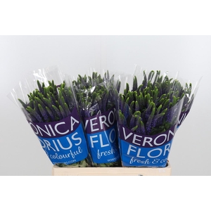 Veron Smart Diana Spray