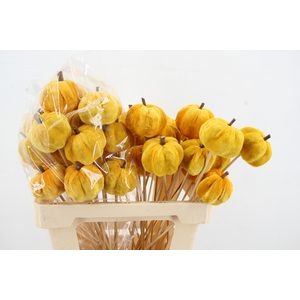 Stick Pumpkin 5/6cm Yellow