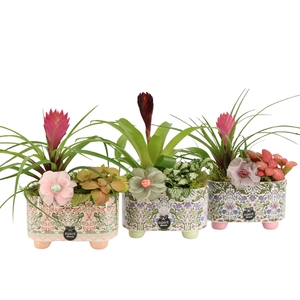 21906: Contradiction arrangement