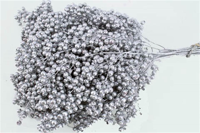 Schinus M Pt Silver Bunch