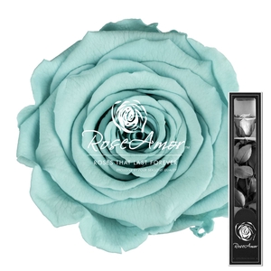30cm Stem Blu02