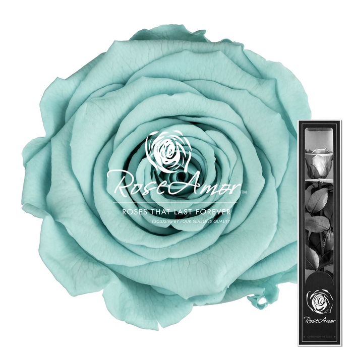 30cm Stem Blu02